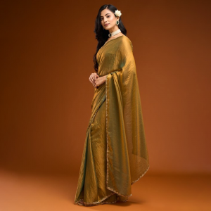 Solid Beads and Stones Saree